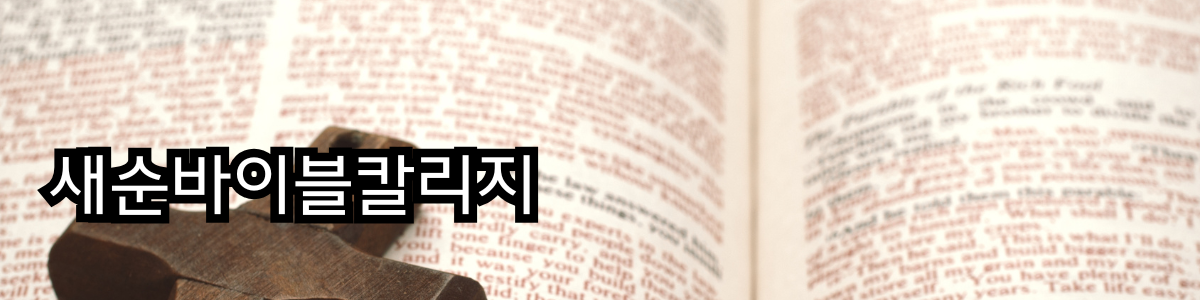 새순바이블칼리지